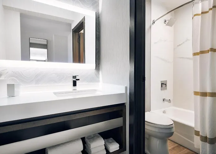 Hotel Chicago Marriott 3*